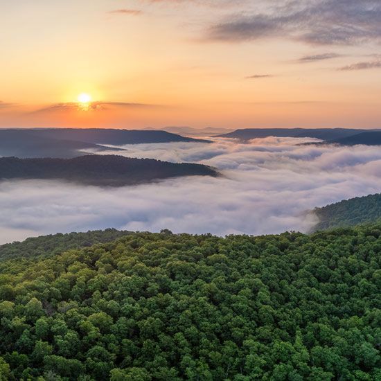 Aerial shot of Arkansas forest at sunset